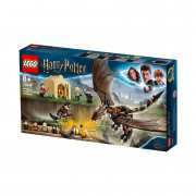 LEGO Harry Potter Hungarian Horntail Triwizard Challenge (75946) 