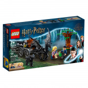LEGO Harry Potter Rokfort: Koč a testrálovia (76400) 