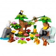 LEGO Duplo Divoké zvieratá Južnej Ameriky (10973) 