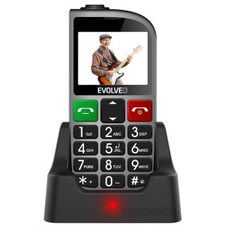 EVOLVEO Easy Phone 800 Fm 2,3" Dual SIM silver Mobile phone Mobile