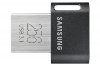 Samsung MUF-256AB USB kľúč 256 GB USB Typ-A 3.2 Gen 1 (3.1 Gen 1) Šedá, Strieborná PC