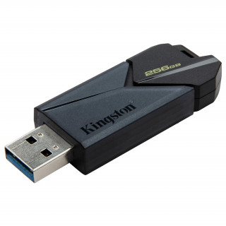 Kingston Data Traveler Exodia Onyx 256GB USB 3.2 (DTXON/256GB) PC
