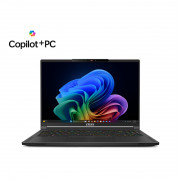MSI Gaming NB Stealth A16 AI+ A3XVFG-258 16" QHD+ OLED, Ryzen AI 9 HX 370, 32 GB, 1 TB, RTX 4060, Win11H, čierny - US KEY 