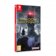 Shadow Labyrinth 