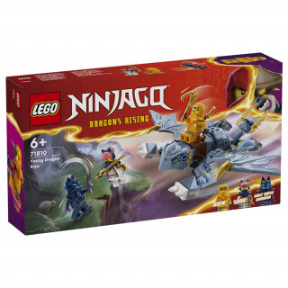 LEGO Ninjago Dračie mláďa Riyu (71810) Hračka