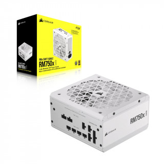 Corsair RM750x zdroj 750 W 24-pin ATX ATX Biela PC
