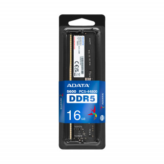 ADATA AD5U560016G-S pamäťový modul 16 GB 1 x 16 GB DDR5 5600 MHz PC