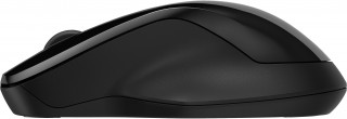 HP Duálna myš 250 PC