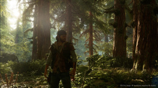 Days Gone PS4