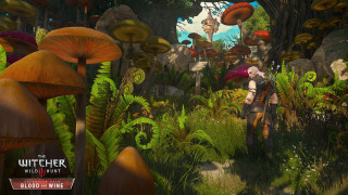 The Witcher III (3) Wild Hunt Blood and Wine PS4