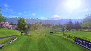 EVERYBODY'S GOLF HOT SHOTS Switch