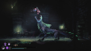 Mandragora: Whispers of the Witch Tree - Collector's Edition Switch
