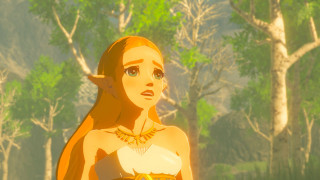 The Legend of Zelda: Breath of the Wild Switch