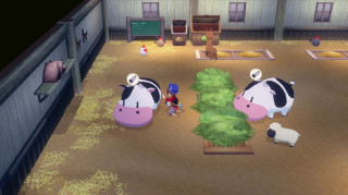 Story of Seasons Grand Bazaar Switch 2