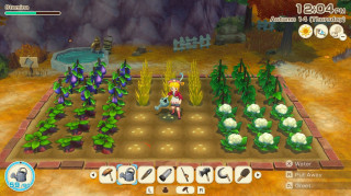 Story of Seasons Grand Bazaar Switch 2