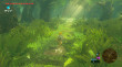The Legend of Zelda: Breath of the Wild - Nintendo Switch 2 Edition thumbnail